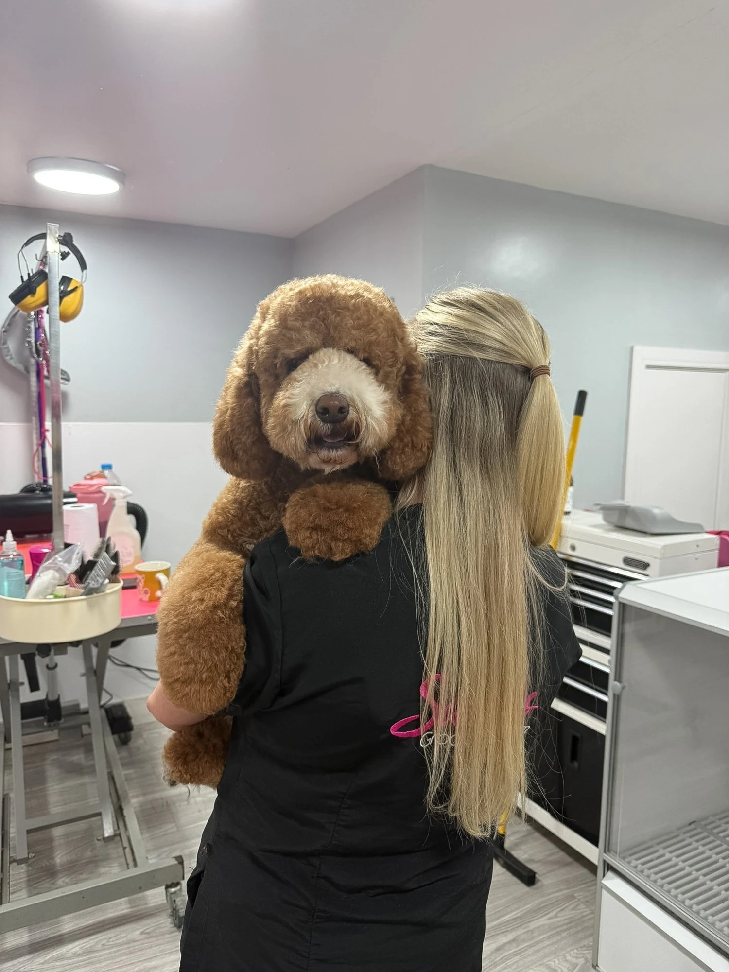 Groomer cuddling a curly-coated dog
