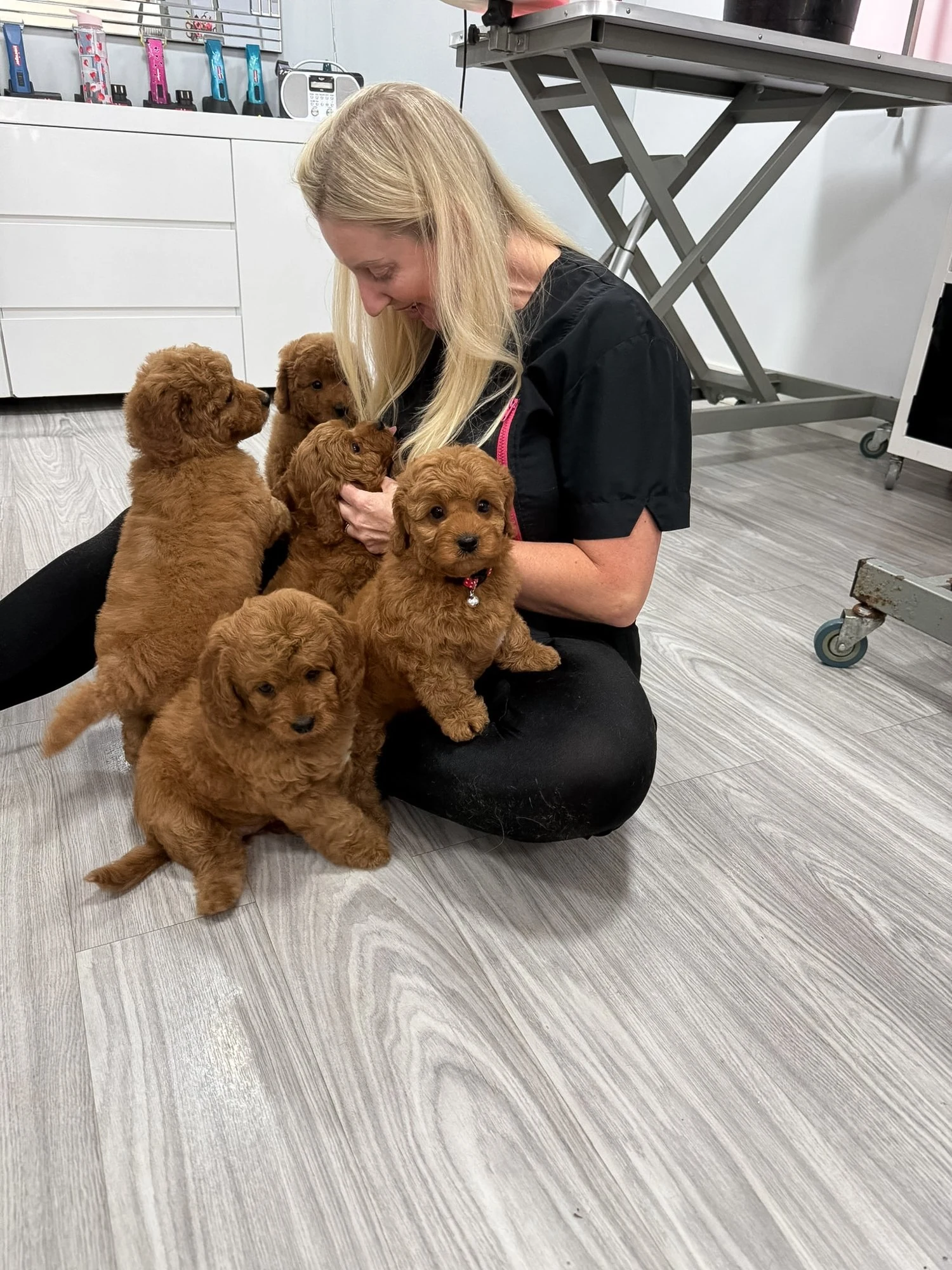 Groomer sitting with a litter of puppies