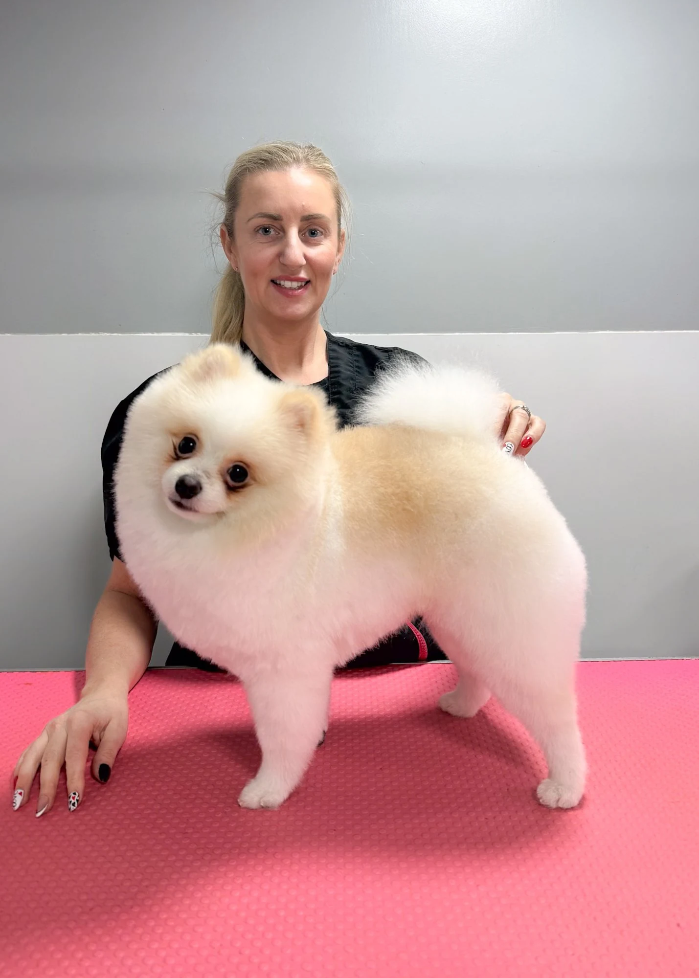 Groomer with a freshly groomed Pomeranian